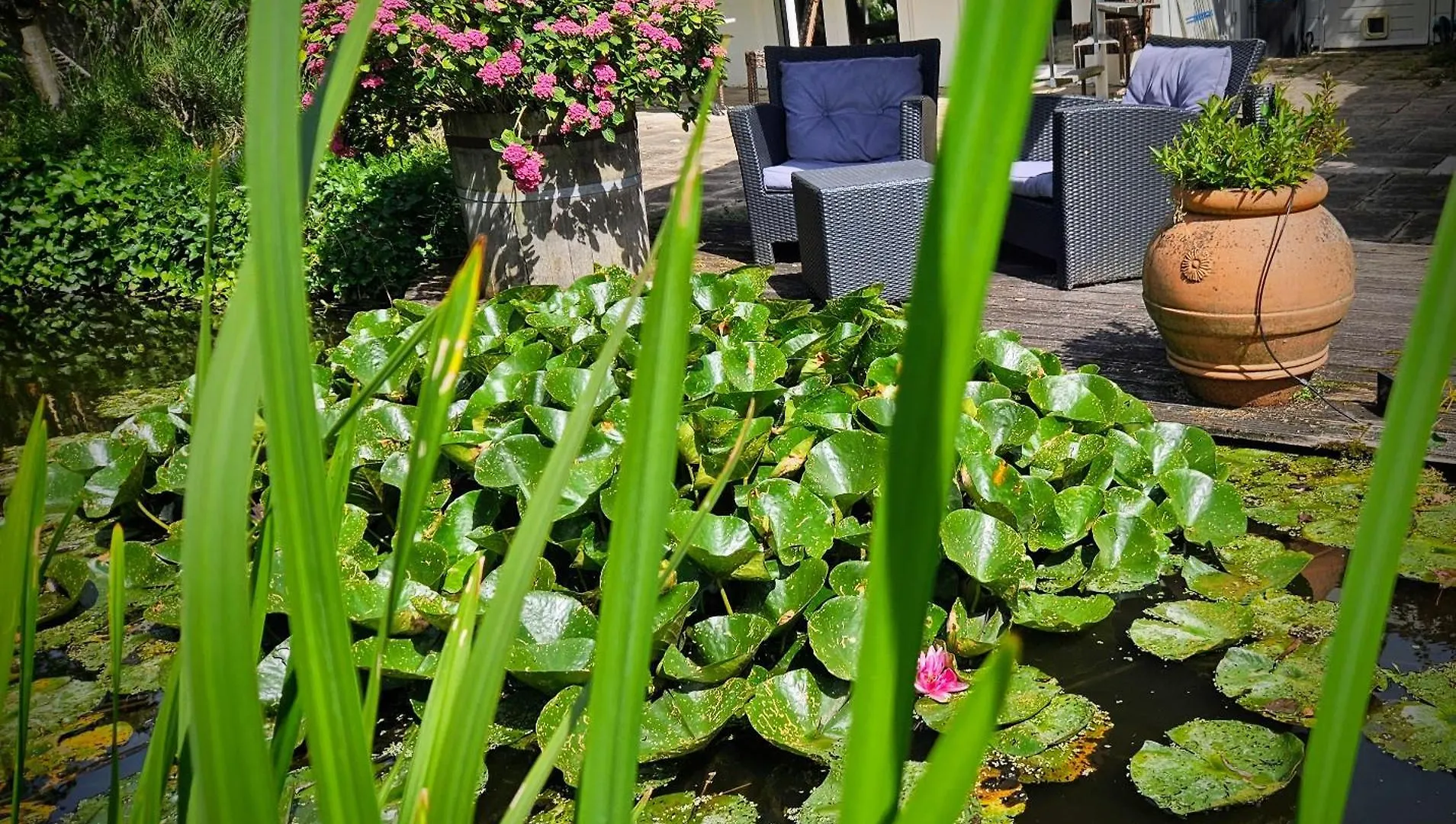 Verborgen Parel Aan De Rotte Rotterdam Holandia